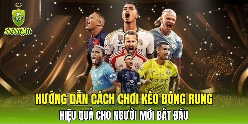 Hướng dẫn cách chơi kèo bóng rung hiệu quả cho người mới bắt đầu