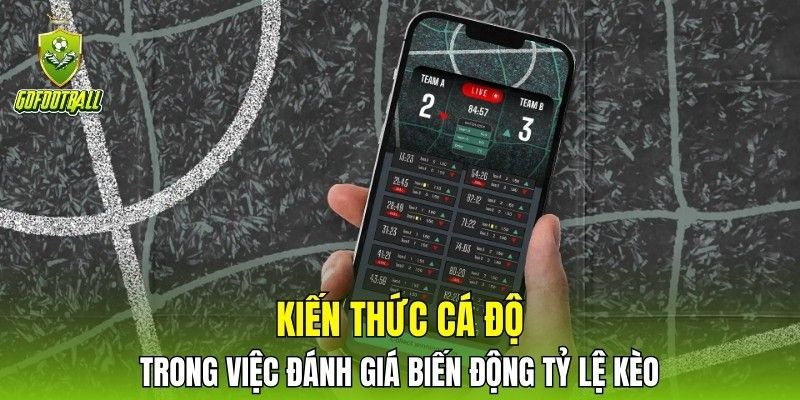 Kiến thức cá độ trong việc đánh giá biến động tỷ lệ kèo