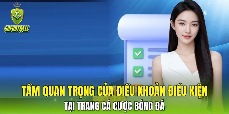 Tầm quan trọng của điều khoản điều kiện tại trang cá cược bóng đá