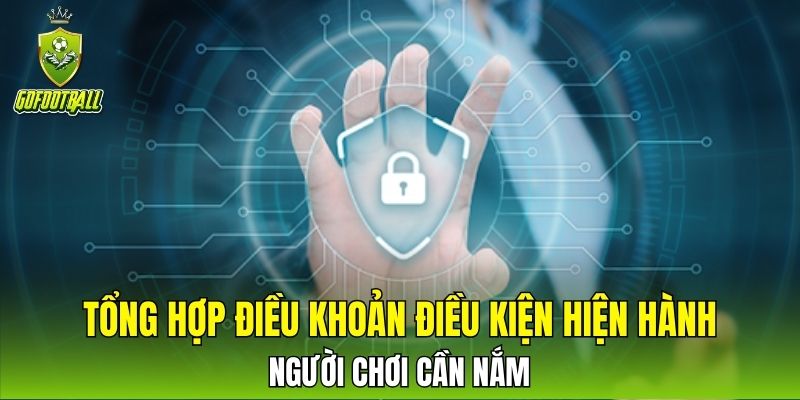 Tổng hợp điều khoản điều kiện hiện hành người chơi cần nắm